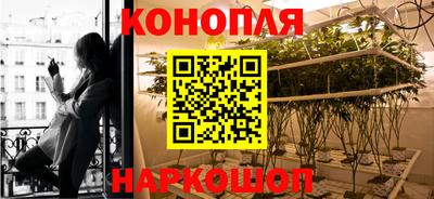 кокс Нальчик